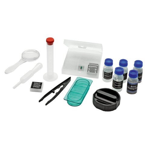 Микроскоп National Geographic Junior 40x-640x + Телескоп 50/600