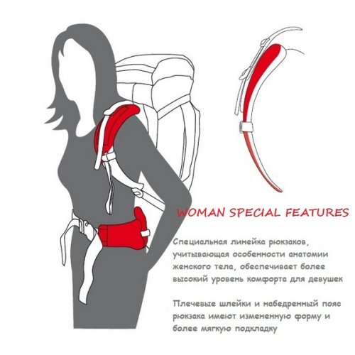 Рюкзак туристический Ferrino Transalp 60 Lady Nut