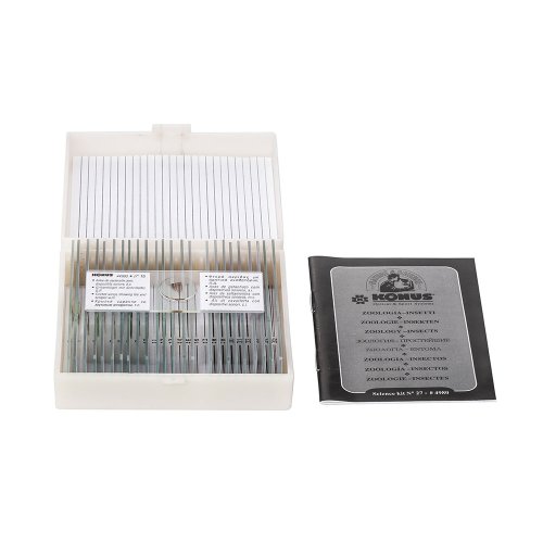 Набор микропрепаратов KONUS Биология: Клетки и ткани животных (25 шт.)