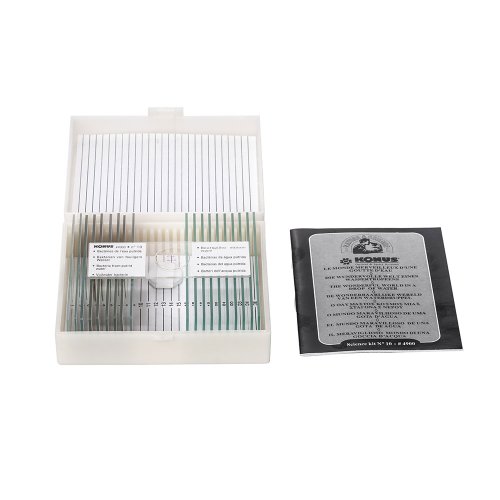 Набор микропрепаратов KONUS Ботаника: Бактерии, простейшие организмы (10 шт.)