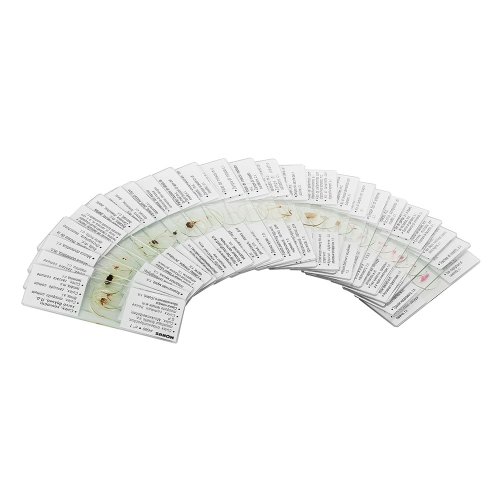 Набор микропрепаратов KONUS Зоология: Насекомые (25 шт.)