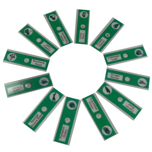 Набор микропрепаратов SIGETA ENTRANCE Ткани растительных организмов (12 шт.)