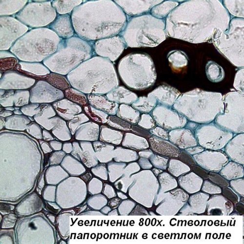 Микроскоп Optika B-150POL-B 40x-400x Bino Polarizing