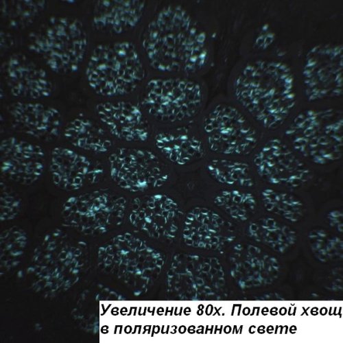 Микроскоп Optika B-150POL-B 40x-400x Bino Polarizing