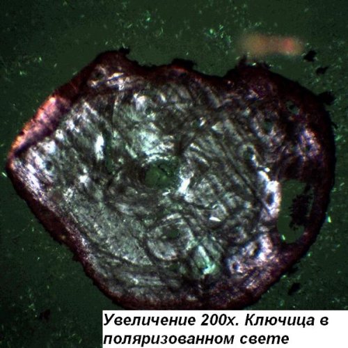 Микроскоп Optika B-150POL-B 40x-400x Bino Polarizing