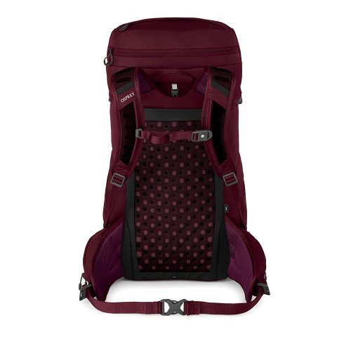 Рюкзак Osprey Skimmer 32 (S20) Plum Red красный