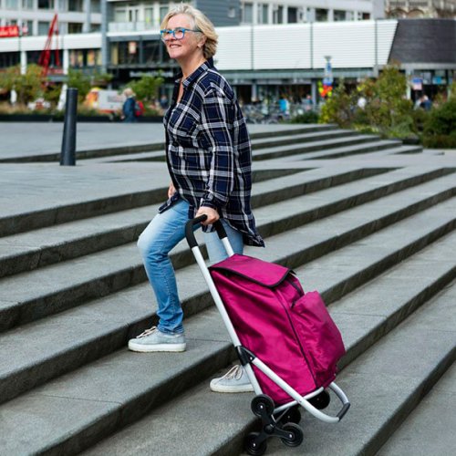 Сумка-тележка ShoppingCruiser Stairs Climber 40 Blue