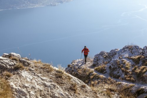 Треккинговые палки Vipole Glacier Roundhead Long DLX S1919