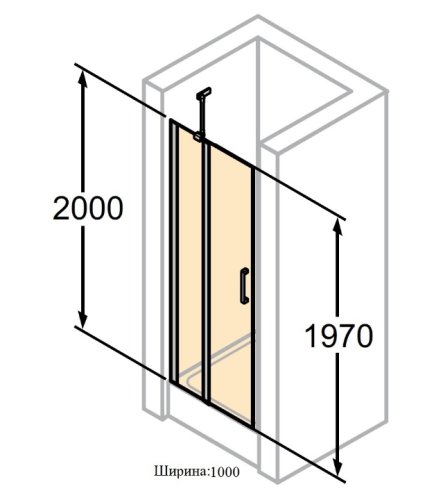 Душевая дверь Huppe Classics 2 100 C23206.069.321