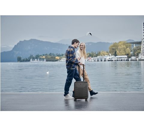 Чемодан Wenger Pegasus Малый Светло-серый 610127