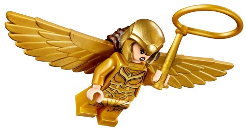 Конструктор LEGO Super Heroes Чудо-женщина против Гепарды 76157