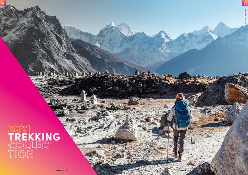 Треккинговые палки Vipole Hiker S2016