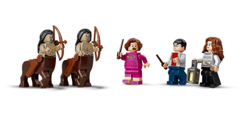 Конструктор LEGO Harry Potter Запретный лес: Встреча Амбридж 75967