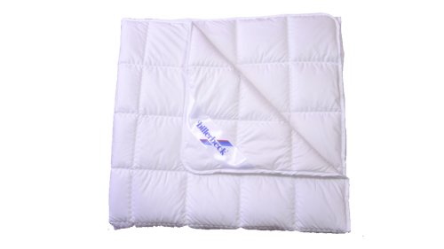 Одеяло антиаллергенное облегченное Billerbeck Астра 200х220 (0203-11/03)