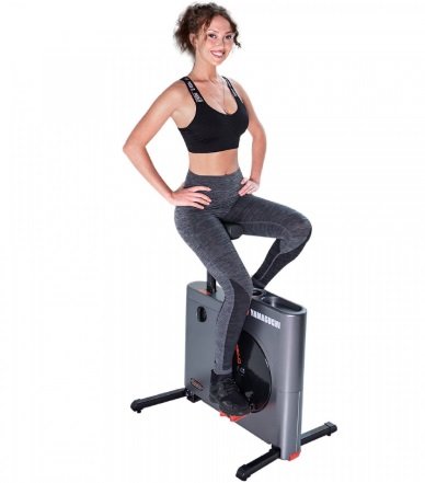 Велотренажер Yamaguchi Crossway