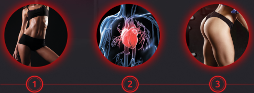 Велотренажер Yamaguchi Crossway