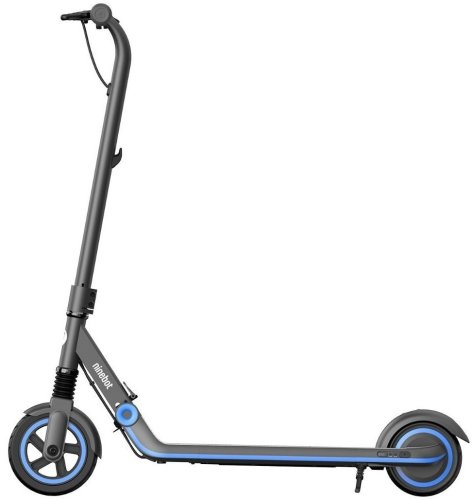 Электросамокат Ninebot by Segway E10