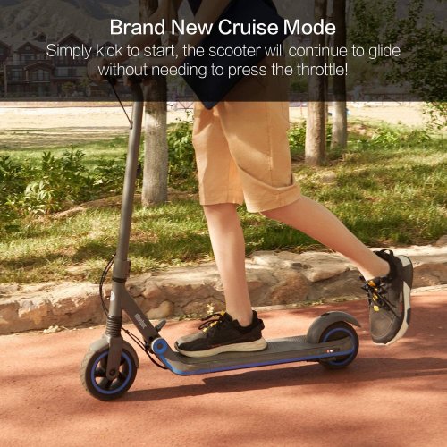 Электросамокат Ninebot by Segway E10