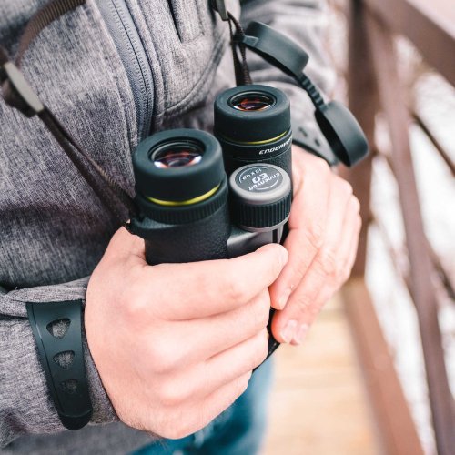 Бинокль Vanguard Endeavor ED 10x42 WP (Endeavor ED 1042)