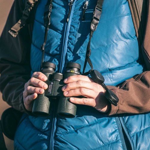 Бинокль Vanguard VEO ED 10x42 WP (VEO ED 1042)