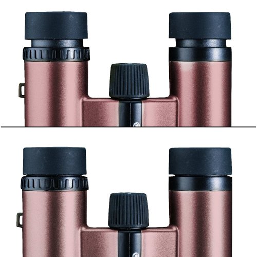 Бинокль Vanguard Vesta Compact 8x21 WP Rose Gold (Vesta 8210 Rose)