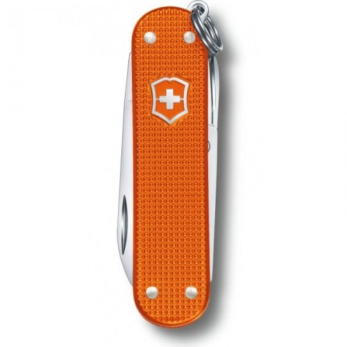 Швейцарский нож Victorinox Classic SD 0.6221.L21