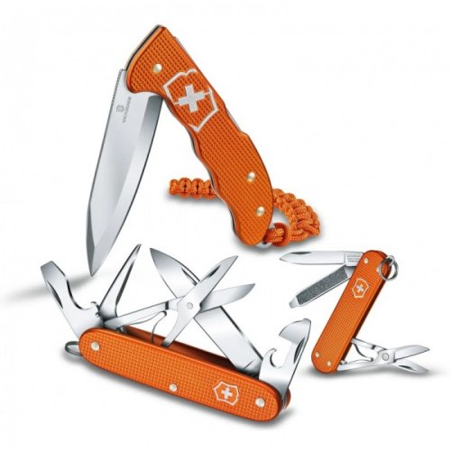 Швейцарский нож Victorinox Classic SD 0.6221.L21