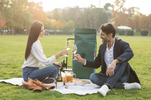 Сумка-візок Gimi Koоl 60 Black (168409)