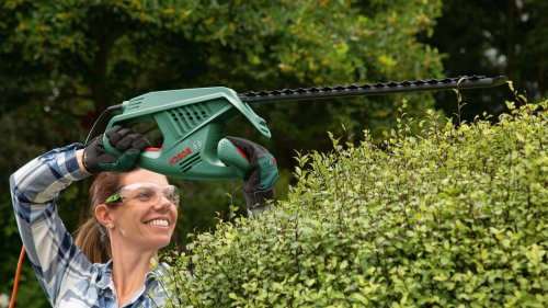 Кусторез Bosch EasyHedgeCut 55