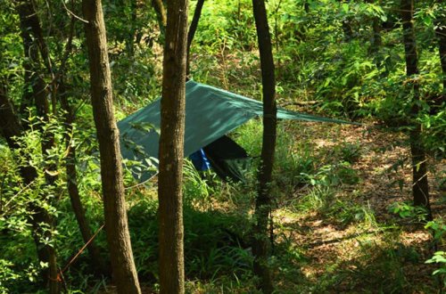 Тент 3F Ul Gear 15D Tarp 3*3 зеленый