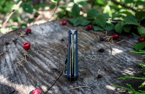 Нож складной Ruike Fang P105-Q