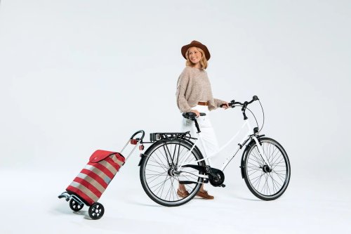 Сумка-тележка Andersen Scala Shopper Hera Grey (112-004-82)