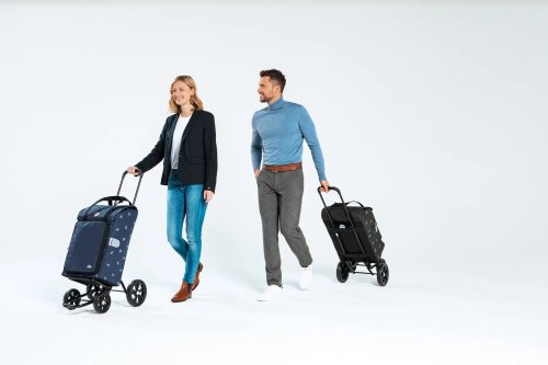 Сумка-тележка Andersen Quattro Shopper Ando Blue (185-170-90)