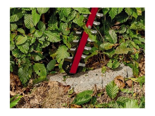 Кусторез Einhell ARCURRA SOLO 3410920