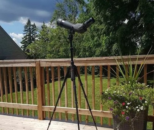 Подзорная труба Pentax 21-63x80/45 PF-80EDA W/C Kit (70950)