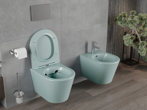 Подвесной унитаз MEXEN RICO GREEN MATT