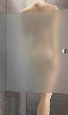 душевые двери Radaway Almatea DWJ 120x195, левые, стекло интимато (31402-01-12N)