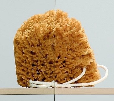 душевые двери Radaway Eos DWS R 120x197, правые, стекло прозрачное (37992-01-01NR)