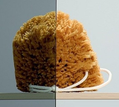 душевые двери Radaway Torrenta DWJ 110, левые, стекло графитовое (31940-01-05N)