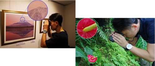 Бинокль Pentax UP 6.5x21 Papilio II (62001)