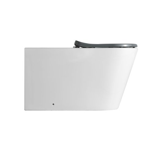 Унитаз напольный Qtap Freedom инклюзивный безбачковый Rimless безобедочный с сиденьем Soft-close WHITE QT22223368W