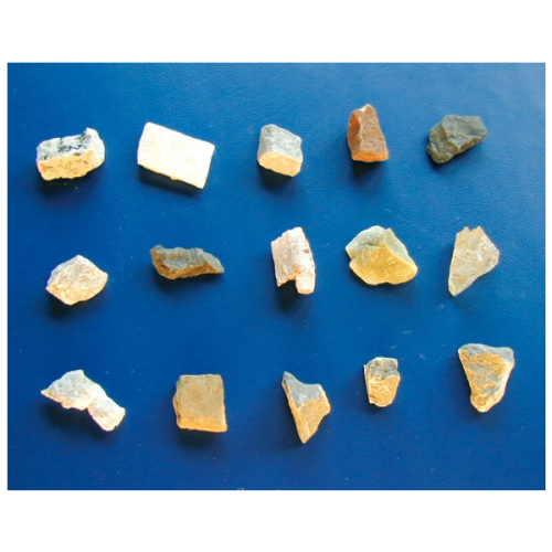 Мікроскоп Bresser Junior Stereo 20x (8852000)