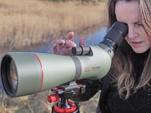 Підзорна труба Kowa Prominar XD 25-60x88/45 (TSN-883)