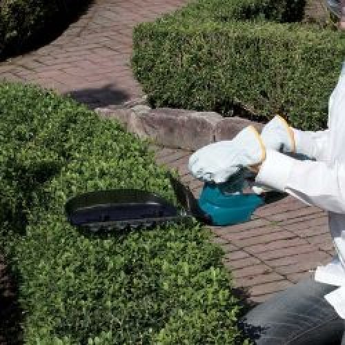 Аккумуляторный кусторез MAKITA UH200DWX