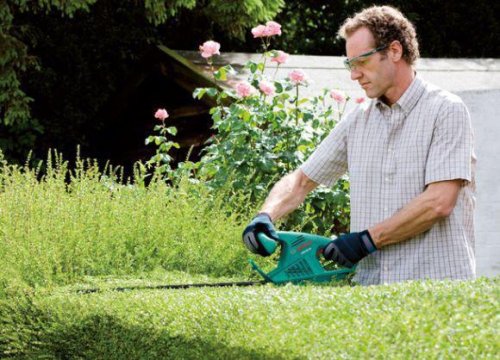 Кущоріз електричний Bosch AHS 50-16