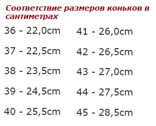 Хокейні ковзани Tempish PRO LITE (Розмір 44)