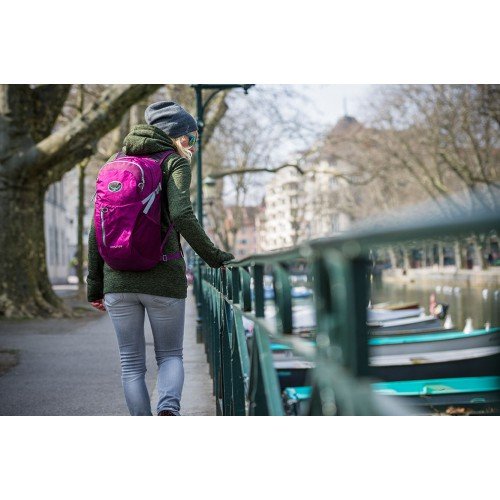 Рюкзак Osprey Daylite Plus 20 Tahoe Blue